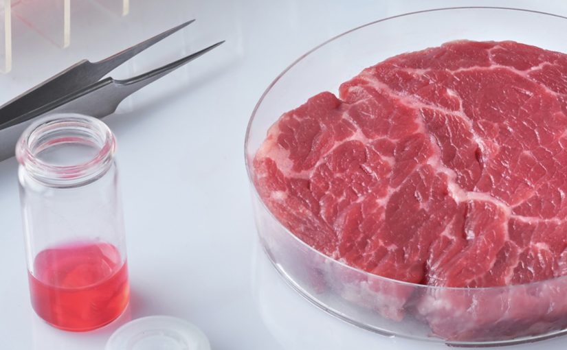 Dari Lab ke Meja Makan: Mengapa Daging 'Cultured-Meat' Kini Lebih Murah dan Lezat Daripada Daging Sapi Biasa