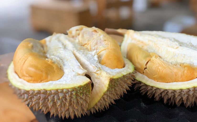Gak Cuma Durian! 5 Festival Kuliner Juli 2026 Ini Bikin Perut Kenyang dan Dompet Happy